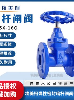 埃美柯9173软密封闸阀暗杆Z45X-16Q铸铁法兰水开关dn506580100150