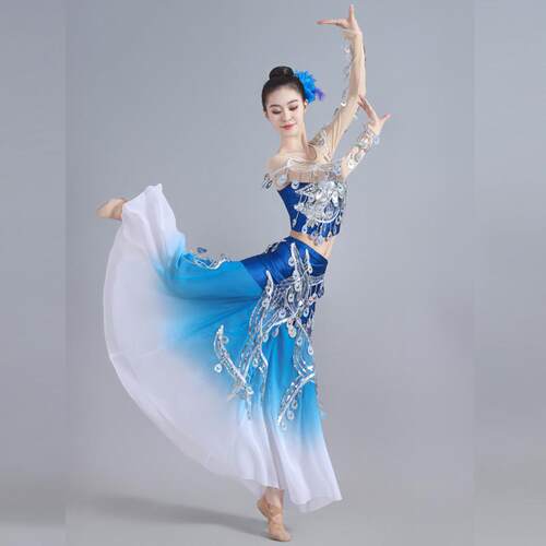 新款成人傣族舞蹈服装彩云之南孔雀舞演出服修身包臀练习艺考伞舞