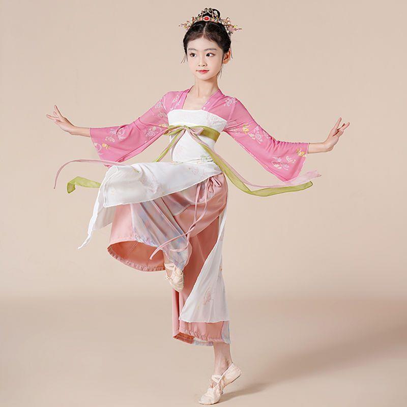 胭脂妆演出服人间烟火舞蹈池上舞蹈服装古典舞醉春风戏蝶身韵纱衣