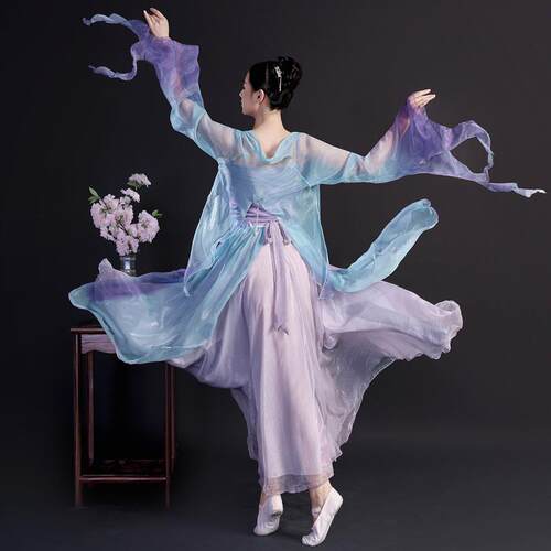 无一朵大左百幻仙蝶古典舞蹈服女飘逸艺考中国舞现代舞表演出服装