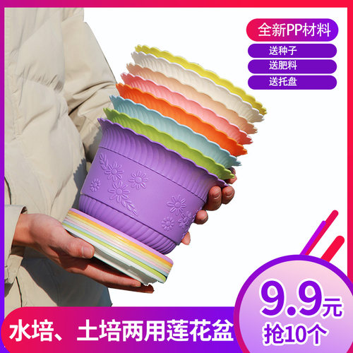 新料环保加厚款浮雕设计彩色花盆