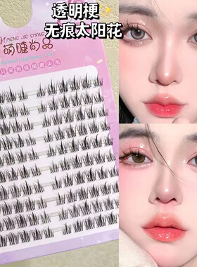 Natural Lash Clusters 120pcs Individual Eyelashes Wispy