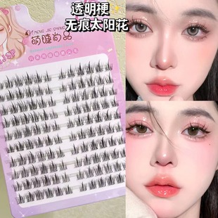 Natural Lash Clusters 120pcs Individual Eyelashes Wispy