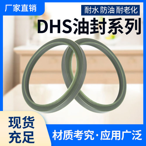 高端进口防尘油封DHS38*4