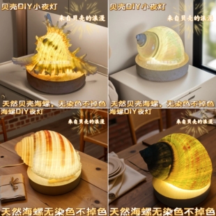 教师节海螺贝壳小夜灯DIY工艺品海胆卧室摆件文创纪念品三亚海南