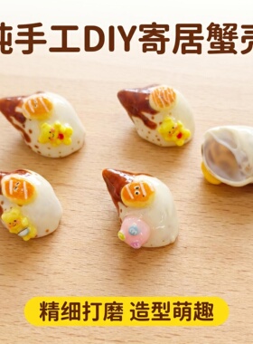 纯手工DIY寄居蟹替换壳 卡通趣味天然海螺 桌 面微景观装饰手作