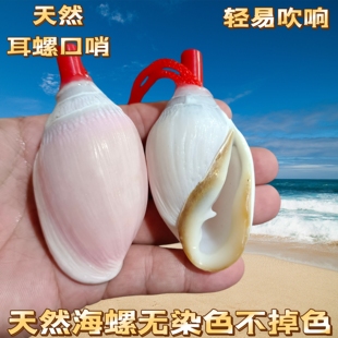 天然海螺号角儿童玩具小螺号青岛旅游贝壳口哨工艺品可吹响口哨