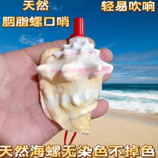 天然大海螺口哨响螺号角吹号贝壳工艺品创意玩具儿童礼物可吹摆件