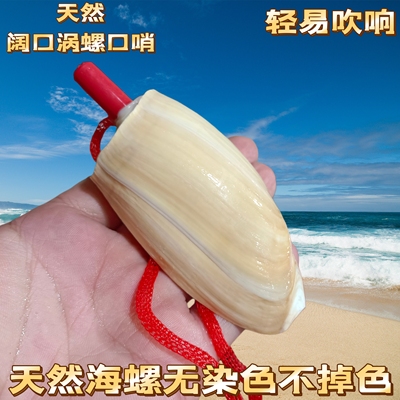 大海螺螺号哨子儿童玩具海螺口哨贝壳工艺品可吹号角送儿童小礼物