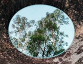 镜子贴墙自粘拍照浴室化妆免打孔玻璃镜卫生间镜家用酒店餐厅吧台