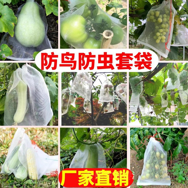 腊鸭板鸭防苍蝇透气腊肉防虫网袋袋子樱桃网罩冬瓜包邮蜜蜂大花菜