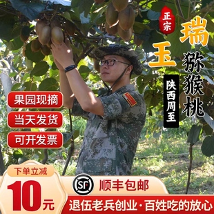 陕西周至瑞玉猕猴桃奇异果绿心现摘孕婴老人水果当季新鲜整箱包邮