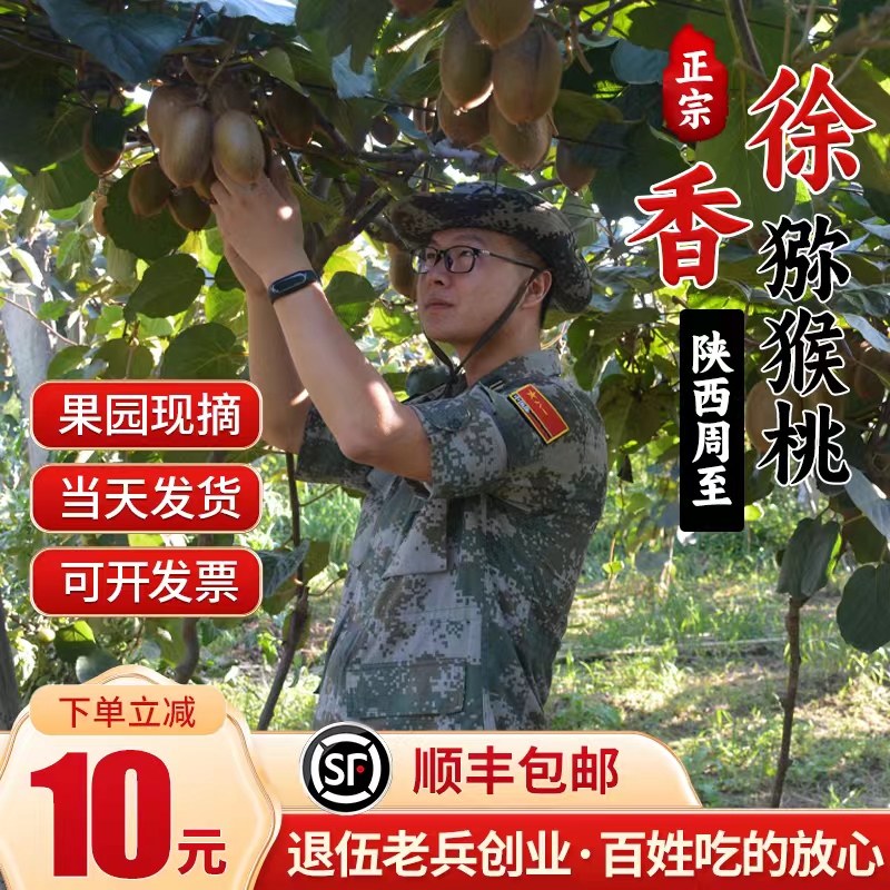 陕西周至徐香猕猴桃奇异果