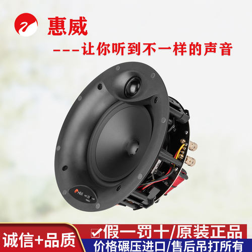 惠威BDX-650LC家庭影院吸顶音箱
