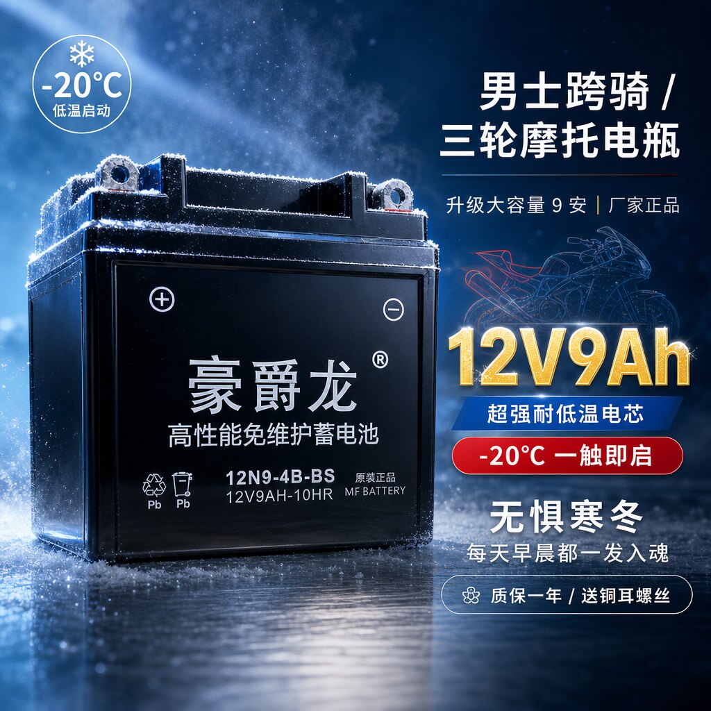 豪爵龙12V弯梁车跨骑车110干电瓶