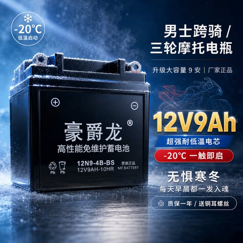 豪爵龙12V弯梁车跨骑车110干电瓶