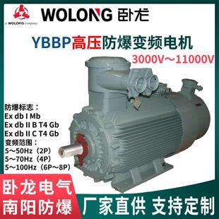 卧龙南阳防爆高压变频电机YBBP6/10kV IC416强迫冷却 F/H级绝缘