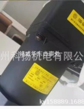 马达 100YYJS140-4 100-GK-200 齿轮减速电子调速三相异步电动机