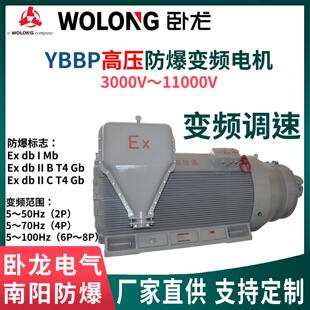 卧龙南阳防爆高压变频电机YBBP 6/10kV 铜条转子IC416强制冷却