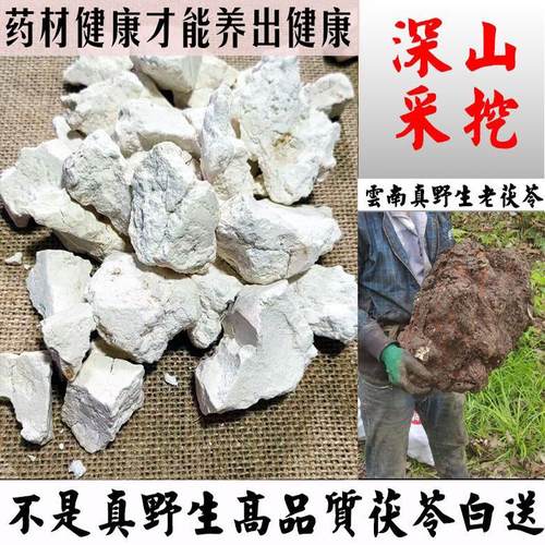 真野生云南茯苓不是野生白送