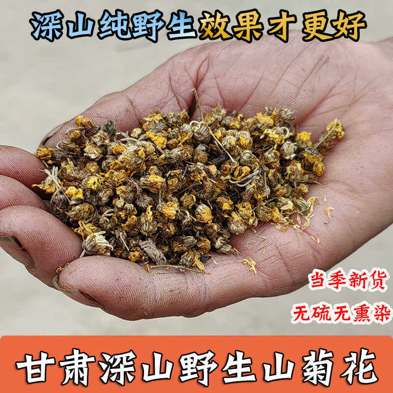 甘肃新货野生菊花头采胎菊小干米菊泡茶天然无硫中药材去火泡水茶