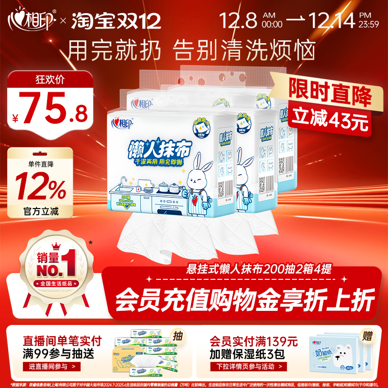 心相印悬挂式懒人抹布4提