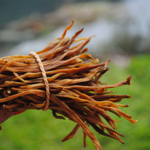 农家自晒生态黄花菜干货花苞500g