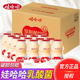 娃哈哈乳酸菌饮品100ml 40整箱瓶装 原味益生菌饮料批发