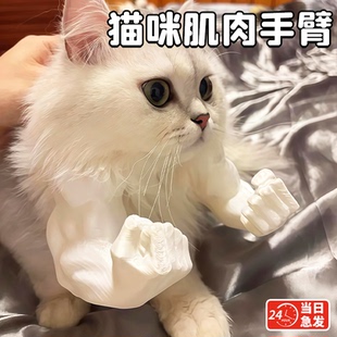 网红玩具挂脖肌肉手臂古怪3d打印玩具恶搞整蛊宠物猫咪玩具装 饰