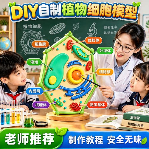 细胞模型制作材料七年级动物细胞和植物细胞2026新款中小学生实验教材真核细胞膜模型标本3d三地模型