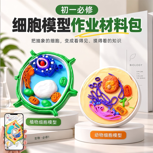 2026新款七年级生物植物细胞模型制作材料动物细胞半成品手工diy套装实验器材3d仿真真核细胞膜模型标本