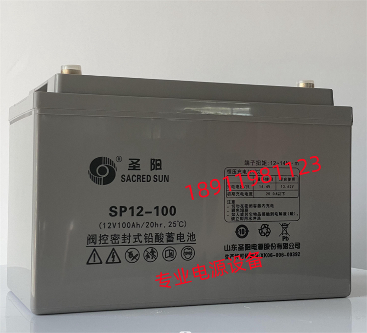 圣阳蓄电池SP12-100 SP12-65 GFMD-300C 2V500AH 全新圣阳电池