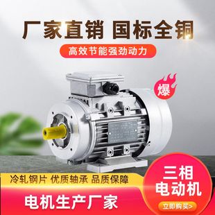 电机380V三相YS铝壳 1400转90120w180W250W370W750WKW电动机马达