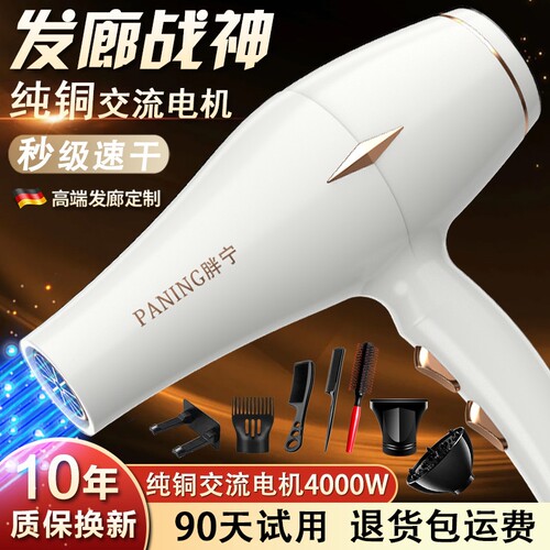 德国电吹风机家用大功率发廊理发