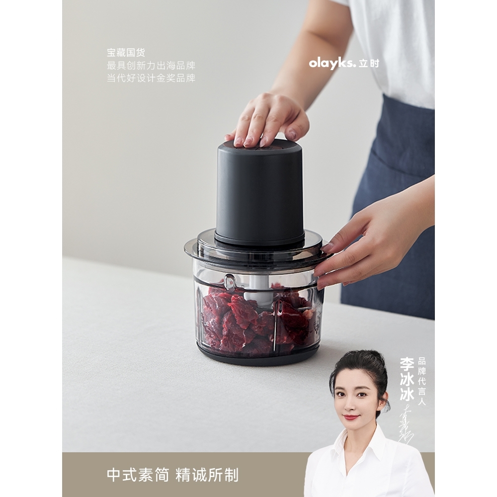 德国进口立时绞肉机家用电动小型