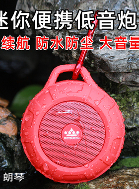 朗琴T350蓝牙音箱迷你便携低音炮运动小音响插卡大音量收音机