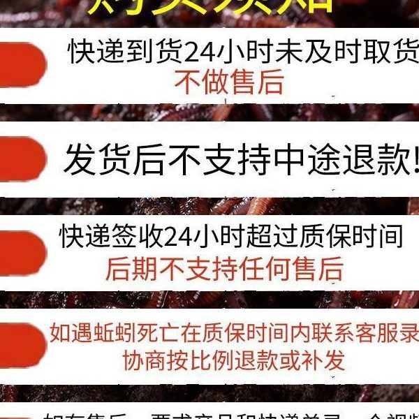 红蚯蚓活体钓鱼饵料活饵散装盒装批发
