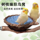 鹦鹉鸟窝藤编小鸟巢虎皮玄凤牡丹珍珠繁殖麻绳草窝保暖睡鸟笼用品
