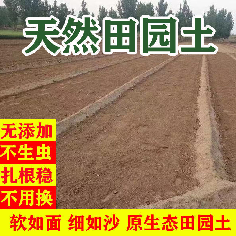 园艺泥土普通园土有机菜园土田园土种菜种花土壤营养土花土种植土