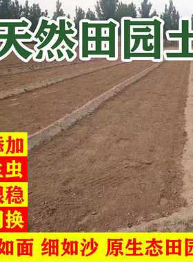 园艺泥土普通园土有机菜园土田园土种菜种花土壤营养土花土种植土