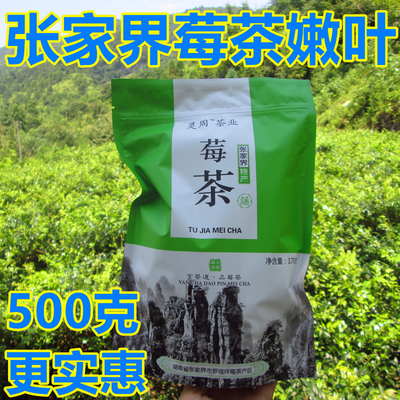 正品 张家界野外生新莓茶藤茶茅岩河霉茶 苦甘露润喉茶养生茶500g