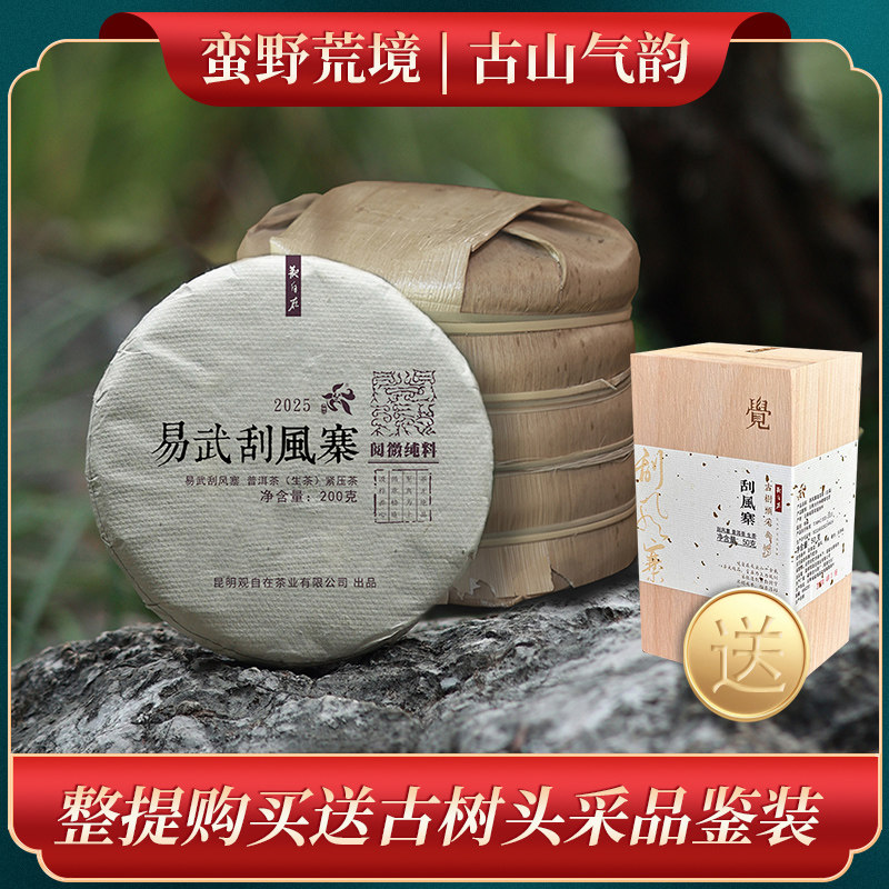 观自在云南普洱茶2025年易武刮风寨茶王树普洱茶生茶纯料七子饼
