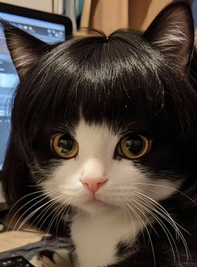 猫咪假发套猫猫假发狗狗宠物假发用品万圣节圣诞礼品小猫头饰头发