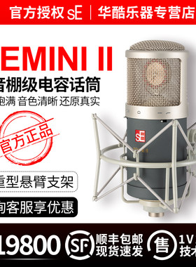 美国seelectronicii录音话筒
