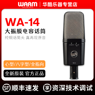 Warm WA14大振膜电容麦克风专业录音棚直播乐器人声话筒 Audio