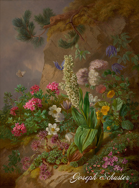 阿尔卑斯山植物景观 Joseph Schuster奥地利风景花卉油画装饰画芯