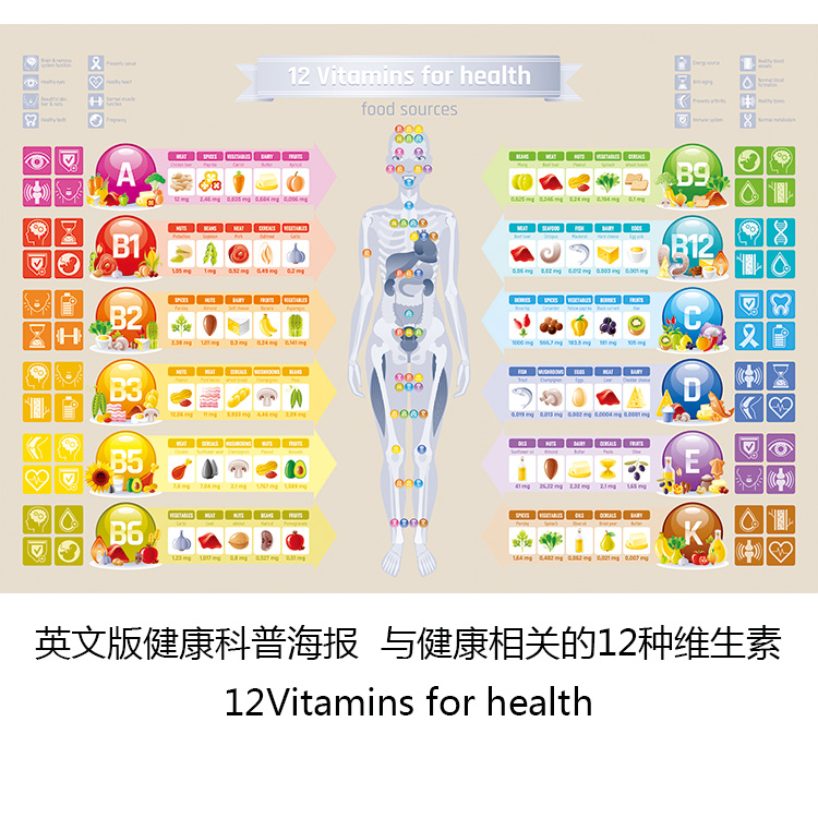 与健康相关的12种维生素 英文版科普海报 餐厅儿童房诊所装饰画芯