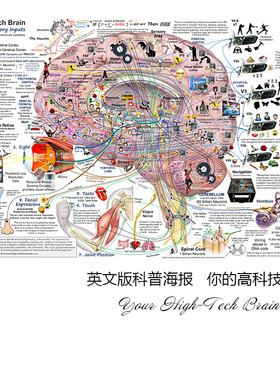 你的高科技大脑科普海报装饰画