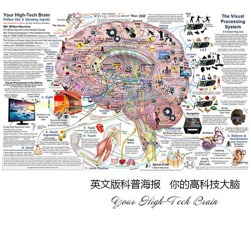 你的高科技大脑科普海报装饰画