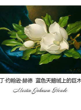 蓝色天鹅绒上的巨木兰Martin Heade花卉静物油画客厅书房装饰画芯
